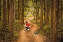 LEXIBOOK Ferngesteuerter/RC Dino Velociraptor -Lexibook 23101402 05